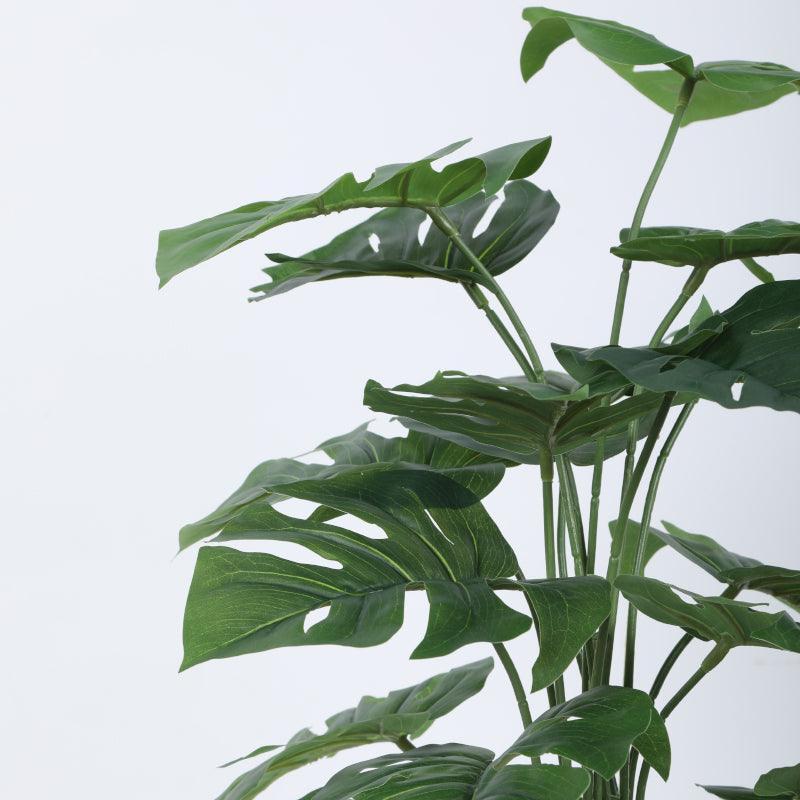 Buy Faux Fringe Monstera Plant With Pot - 2.13 ft Artificial Plants from Vaaree