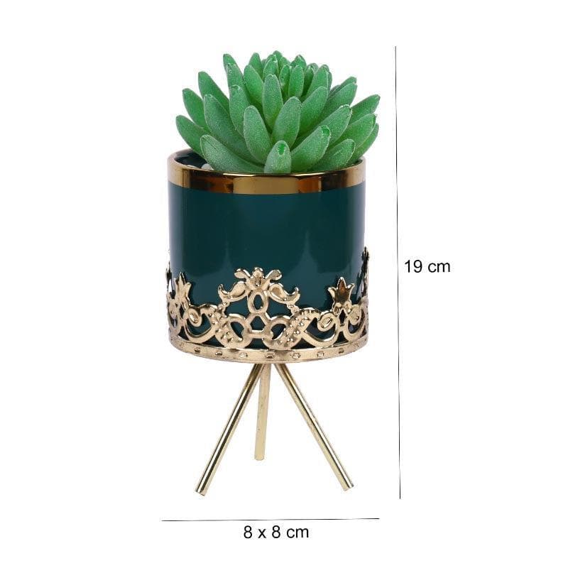 Artificial Plants - Faux Gasteria In Blue Ceramic Pot - 18 cms