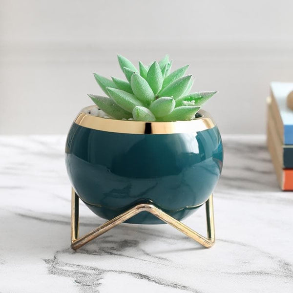 Buy Faux Gasteria In Blue Round Pot With Stand - 11 cms Artificial Plants from Vaaree