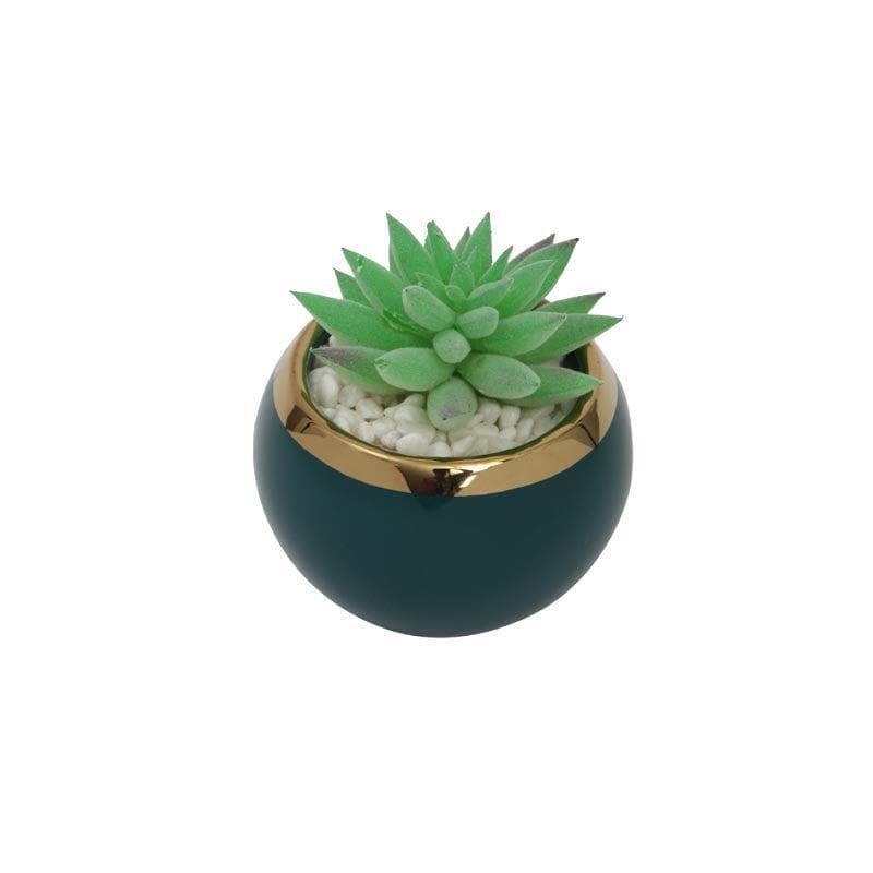 Buy Faux Gasteria In Blue Round Pot With Stand - 11 cms Artificial Plants from Vaaree