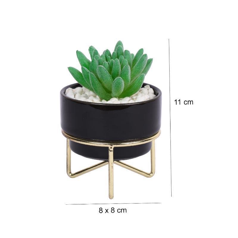 Artificial Plants - Faux Gasteria In Ceramic Pot - 12.5 cms