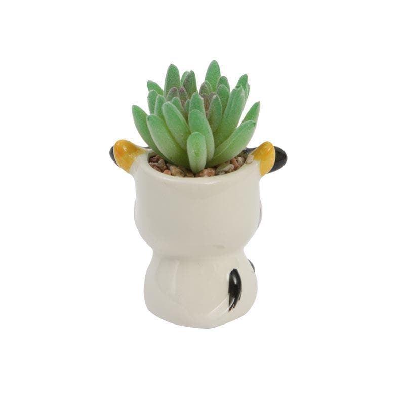 Buy Faux Gasteria In Cow Face Pot - 11.5 cms Artificial Plants from Vaaree