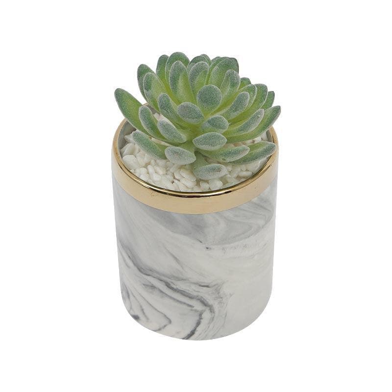 Artificial Plants - Faux Gasteria In Marble Pot - 22 cms