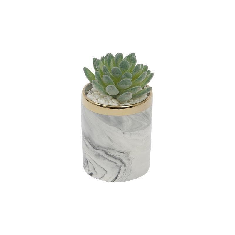 Artificial Plants - Faux Gasteria In Marble Pot - 22 cms