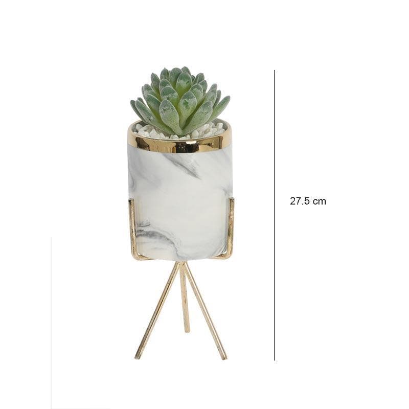 Buy Faux Gasteria In Marble Pot - 22 cms Artificial Plants from Vaaree