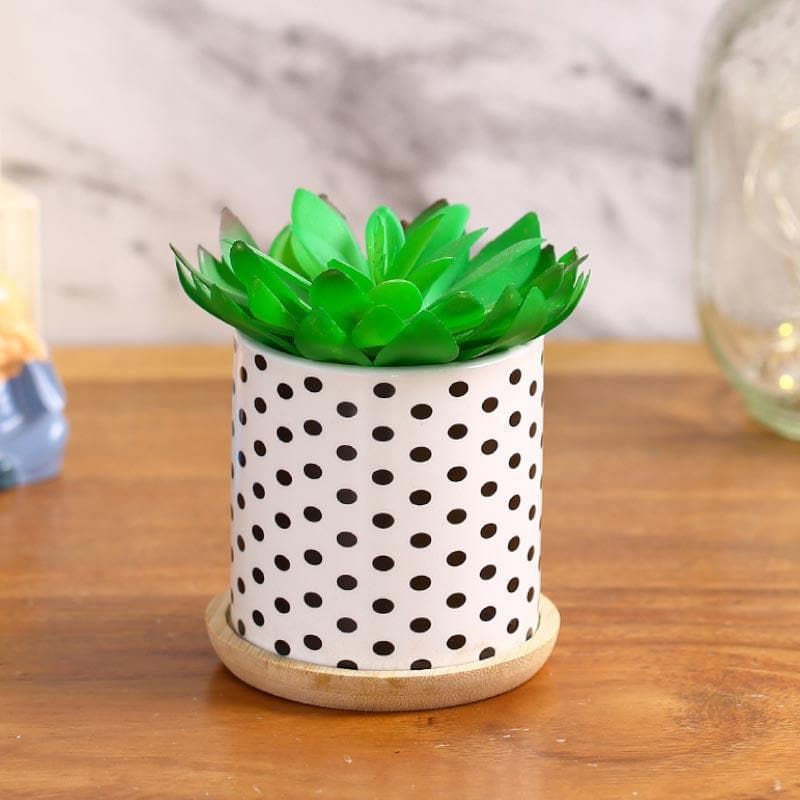 Buy Faux Gasteria In Polka Pot - 11 cms Artificial Plants from Vaaree