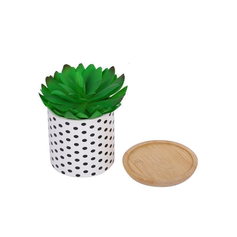 Buy Faux Gasteria In Polka Pot - 11 cms Artificial Plants from Vaaree