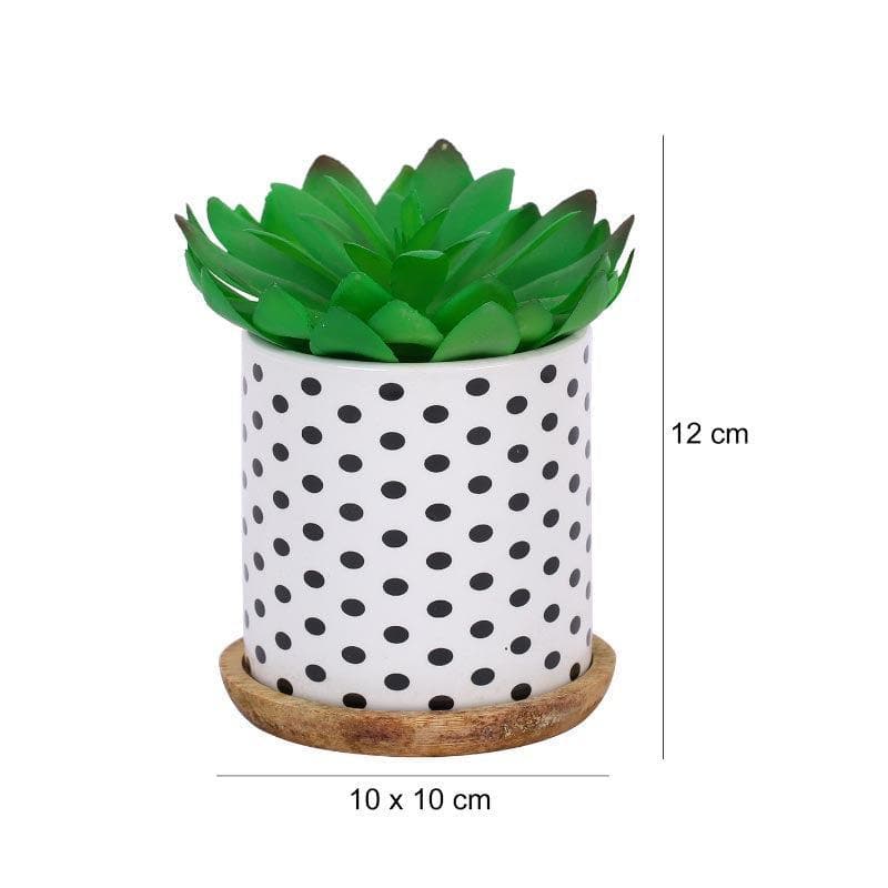 Buy Faux Gasteria In Polka Pot - 11 cms Artificial Plants from Vaaree