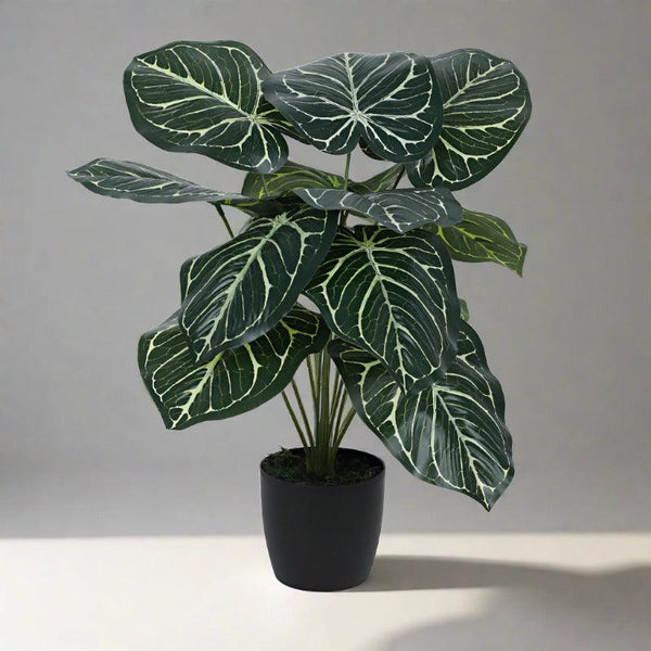 Artificial Plants - Faux Gimo Silk Plant With Pot - 55 cms