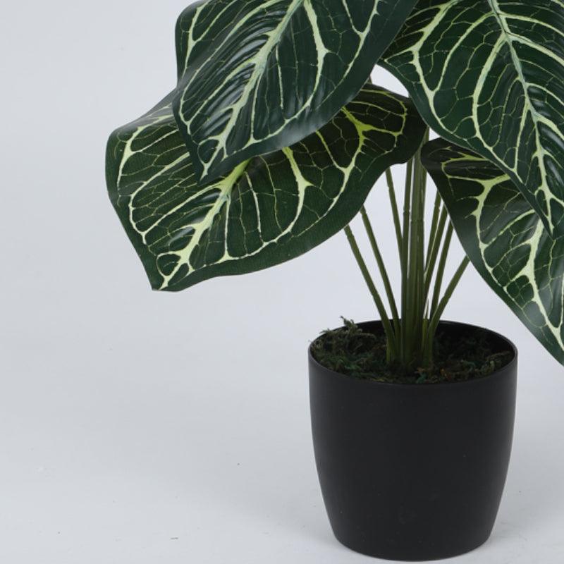 Buy Faux Gimo Silk Plant With Pot - 55 cms Artificial Plants from Vaaree