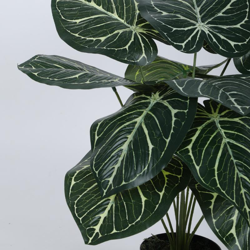 Buy Faux Gimo Silk Plant With Pot - 55 cms Artificial Plants from Vaaree