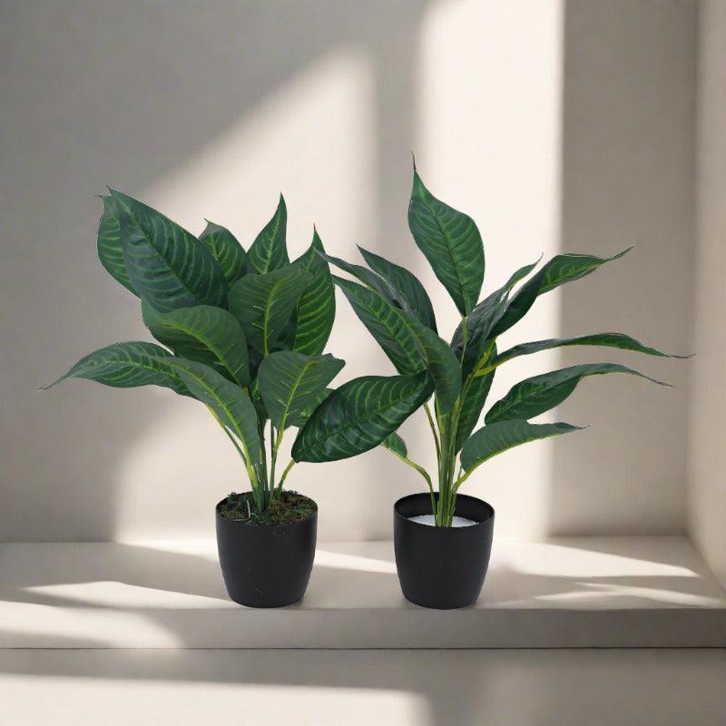 Artificial Plants - Faux Green Croton Plant With Pot (50 cms) - Set Of Two