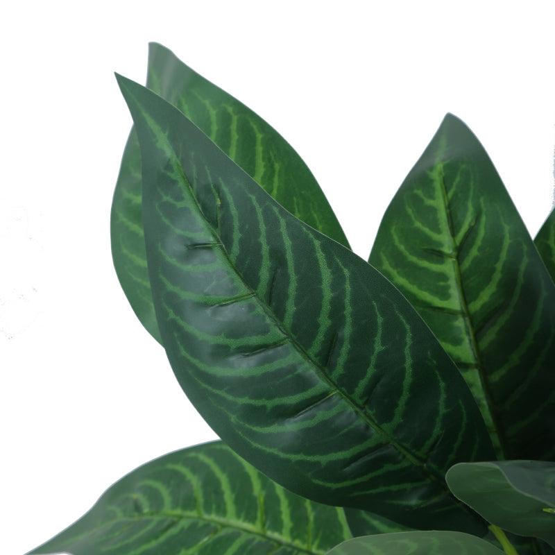 Artificial Plants - Faux Green Croton Plant With Pot (50 cms) - Set Of Two