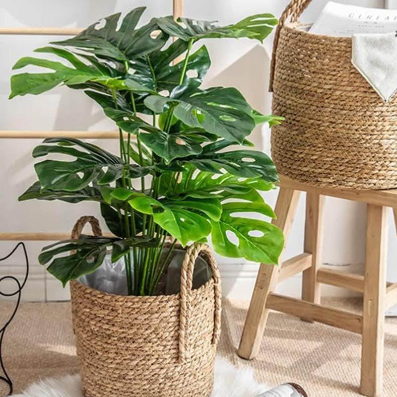 Buy Faux Green Monstera Plant Stick - 2.13 ft Artificial Plants from Vaaree