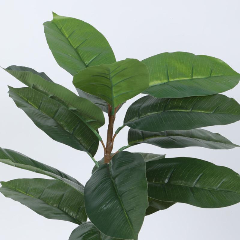 Buy Faux Green Rubber Plant With Pot - 2.46 ft Artificial Plants from Vaaree