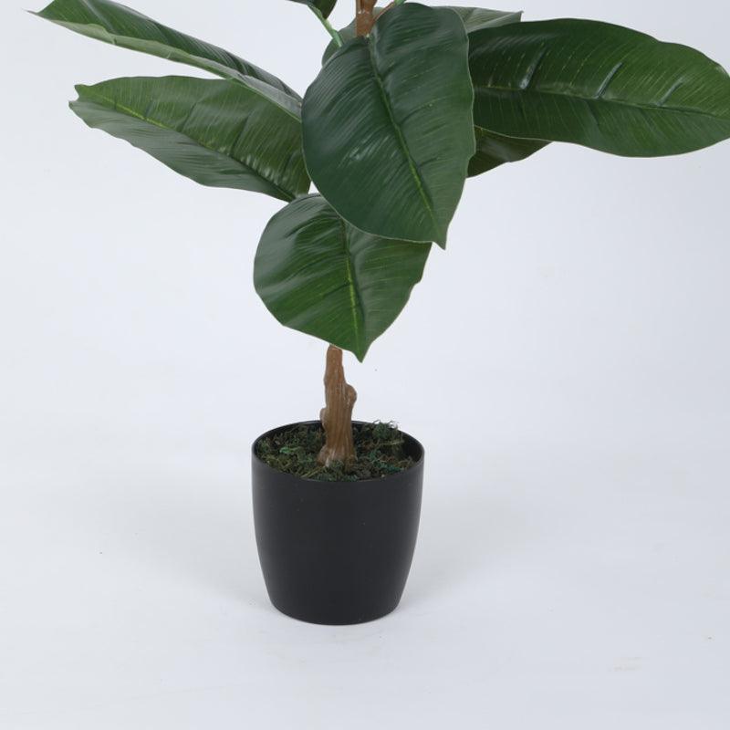 Artificial Plants - Faux Green Rubber Plant With Pot - 2.46 ft