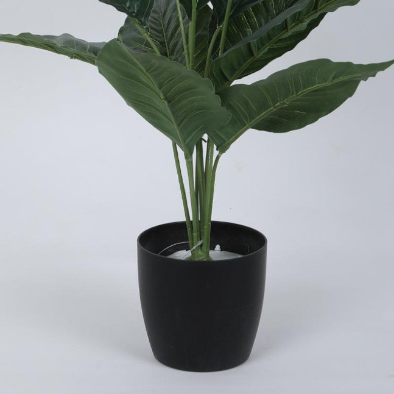 Artificial Plants - Faux Green Taro Plant With Pot - 2.13 ft