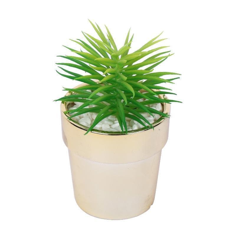 Buy Faux Haworthia In Ceramic Pot - 14 cms Artificial Plants from Vaaree