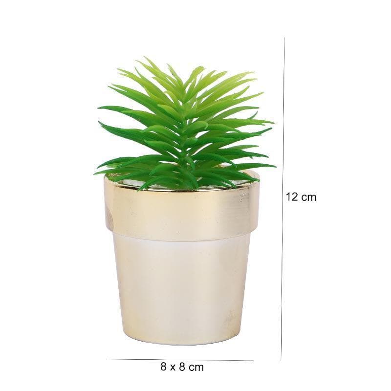 Buy Faux Haworthia In Ceramic Pot - 14 cms Artificial Plants from Vaaree