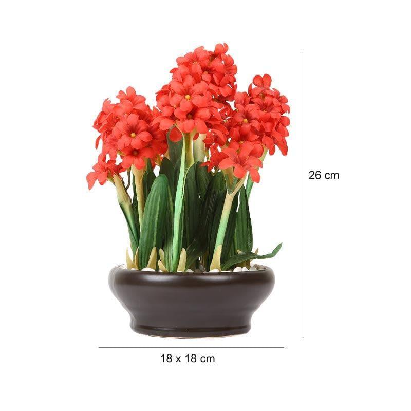 Buy Faux Hyacinth Bonsai In Ceramic Pot (26 cms) - Red Artificial Plants from Vaaree