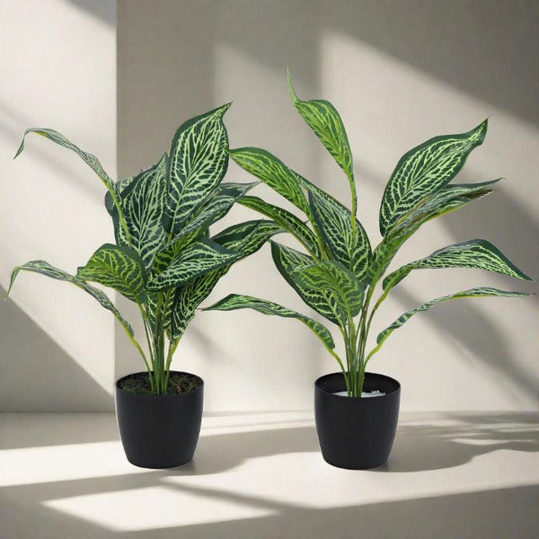 Artificial Plants - Faux Jale Croton Plant With Pot (50 cms) - Set Of Two