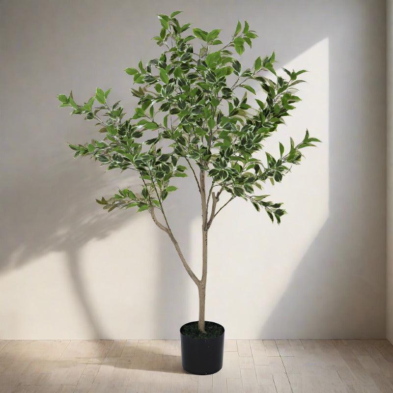 Artificial Plants - Faux Magna Plant With Pot - 4.1 ft