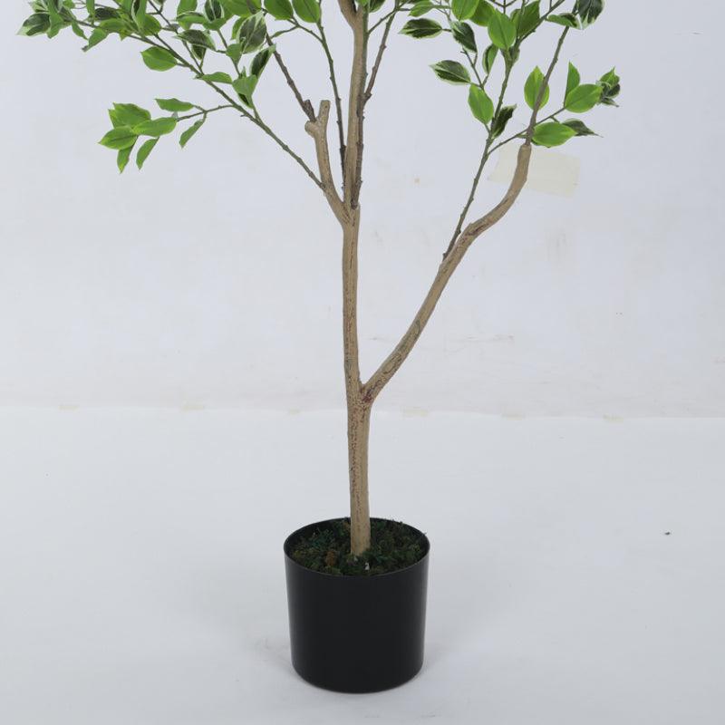 Artificial Plants - Faux Magna Plant With Pot - 4.1 ft