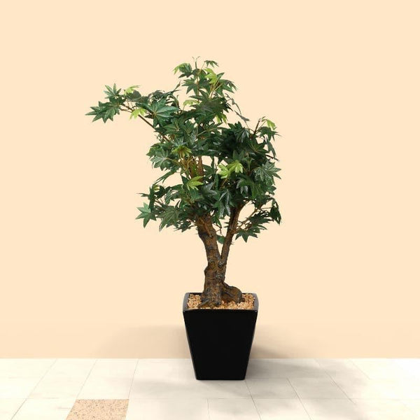 Artificial Plants - Faux Maple Bonsai In Cone Pot (2.2 ft) - Green