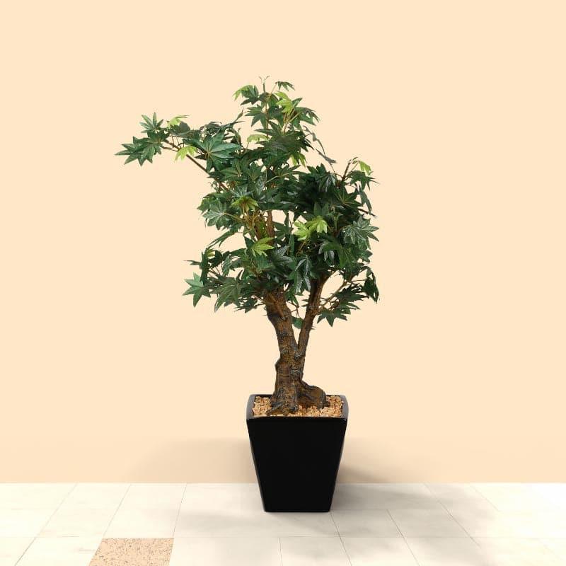 Buy Faux Maple Bonsai In Cone Pot (2.2 ft) - Green Artificial Plants from Vaaree