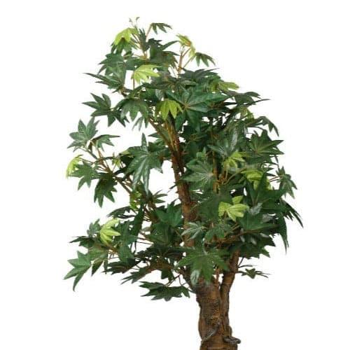 Artificial Plants - Faux Maple Bonsai In Cone Pot (2.2 ft) - Green