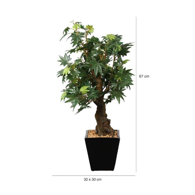 Artificial Plants - Faux Maple Bonsai In Cone Pot (2.2 ft) - Green