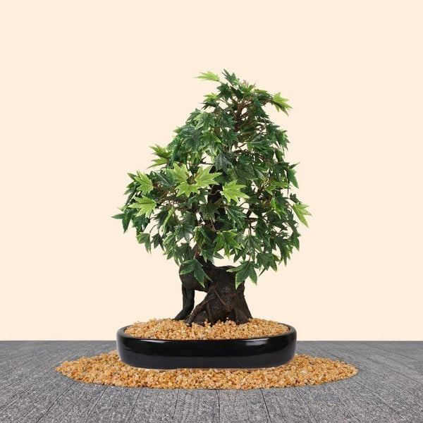 Artificial Plants - Faux Maple Bonsai In Tray Pot (41 cms) - Green