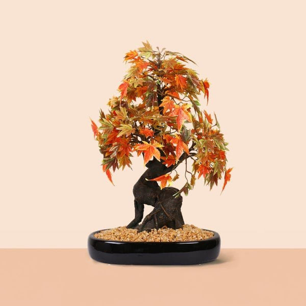 Artificial Plants - Faux Maple Bonsai In Tray Pot (41 cms) - Orange