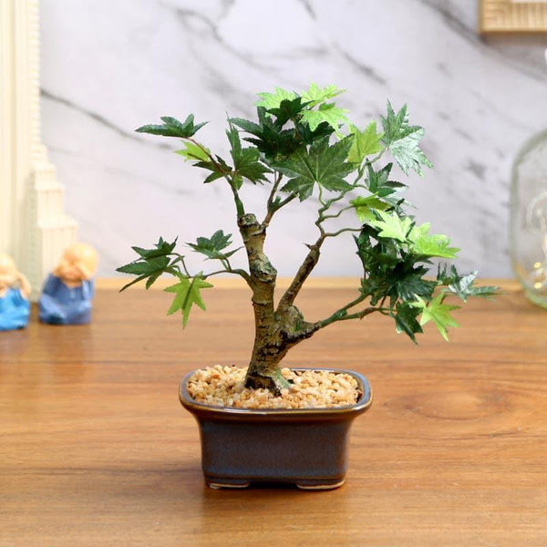 Artificial Plants - Faux Maple Bonsai In Tub Pot (23 cms) - Green
