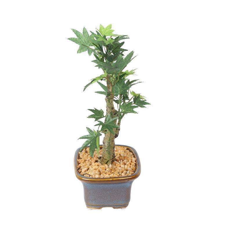 Buy Faux Maple Bonsai In Tub Pot (23 cms) - Green Artificial Plants from Vaaree