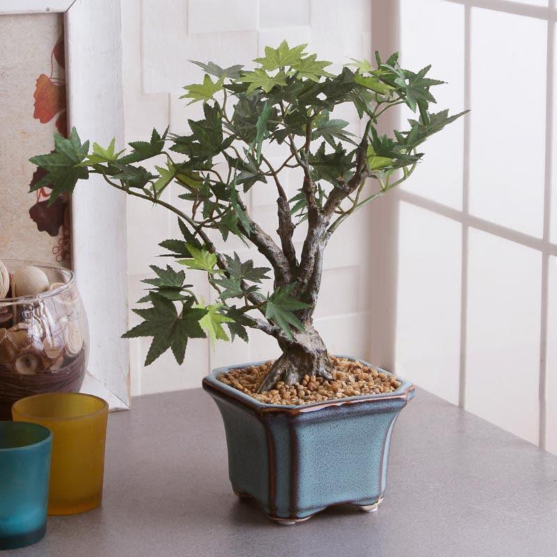 Artificial Plants - Faux Maple Bonsai In Tub Pot (28 cms) - Green & White