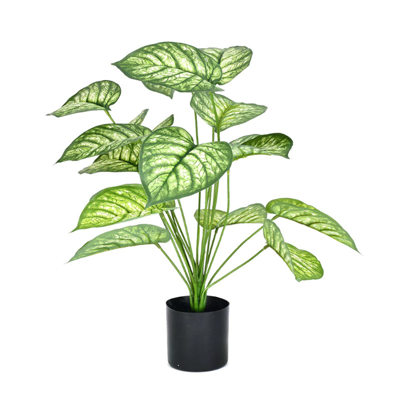 Artificial Plants - Faux Matura Rubber Plant With Pot - 2.13 ft