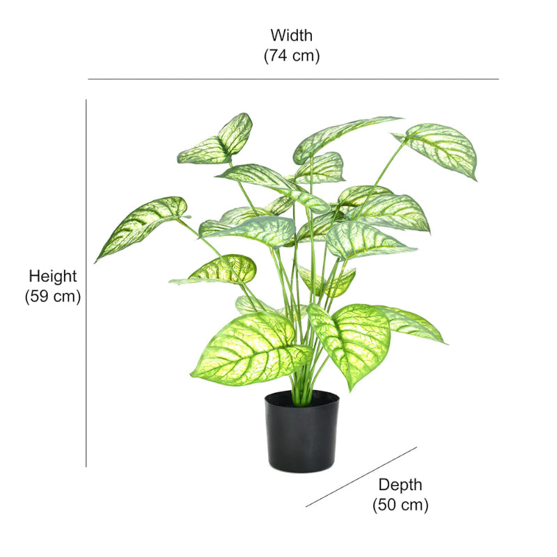 Artificial Plants - Faux Matura Rubber Plant With Pot - 2.13 ft