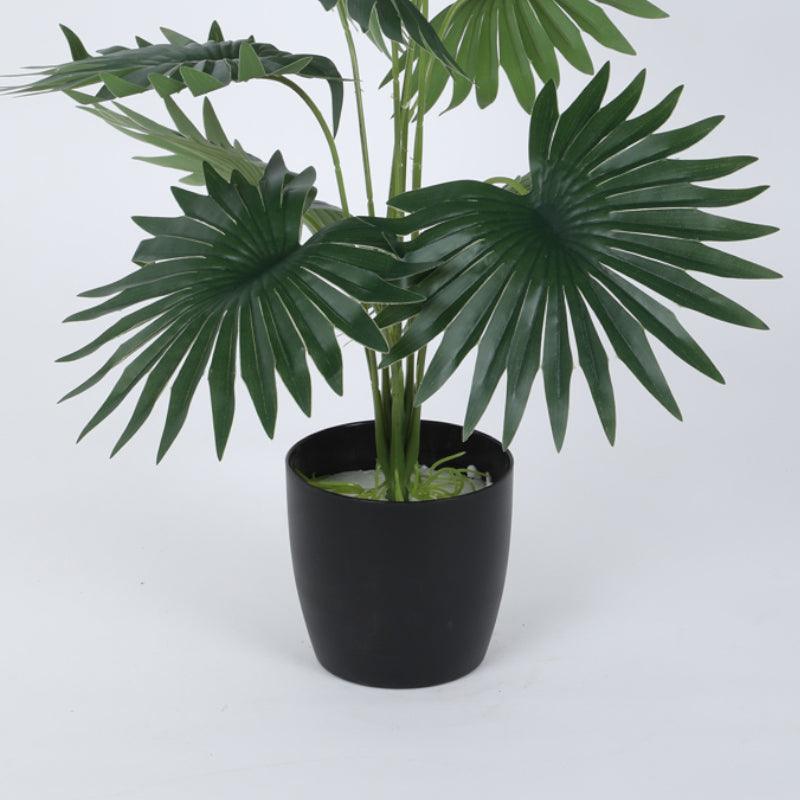 Artificial Plants - Faux Mini Tropical Palm Plant With Pot - 55 cms