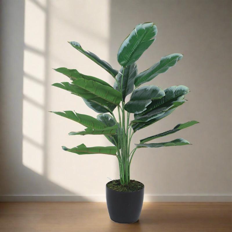 Buy Faux Mini White Calathea Plant With Pot - 60 cms Artificial Plants from Vaaree