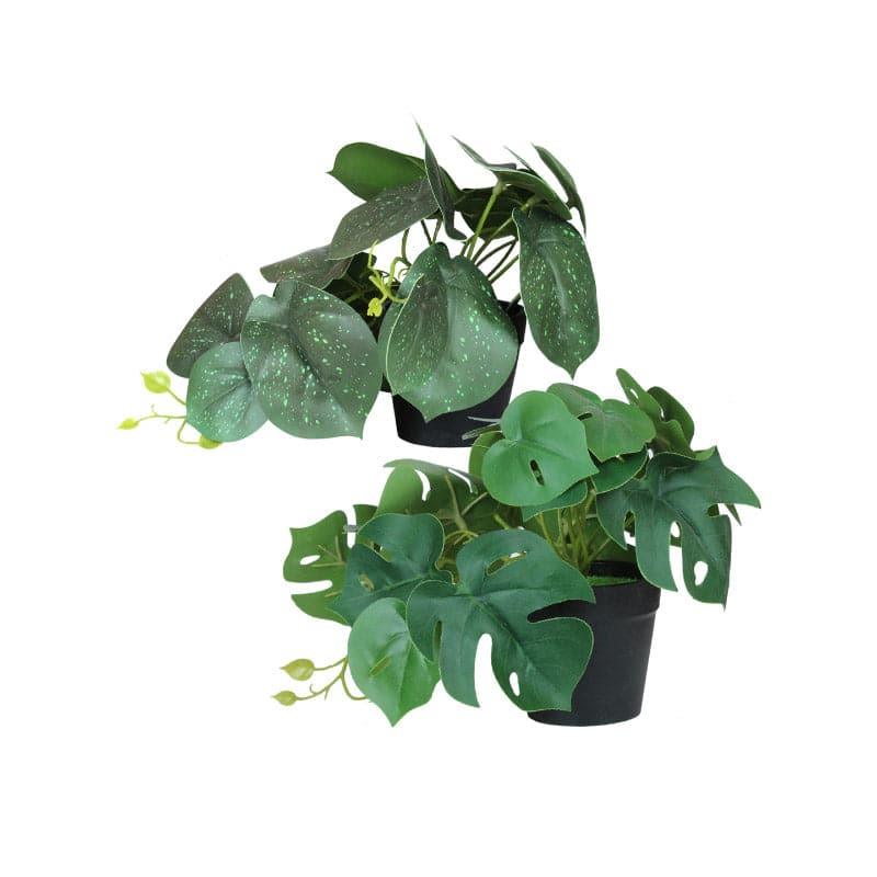 Buy Faux Monstera Plant (22 cms) - Set Of Two Artificial Plants from Vaaree