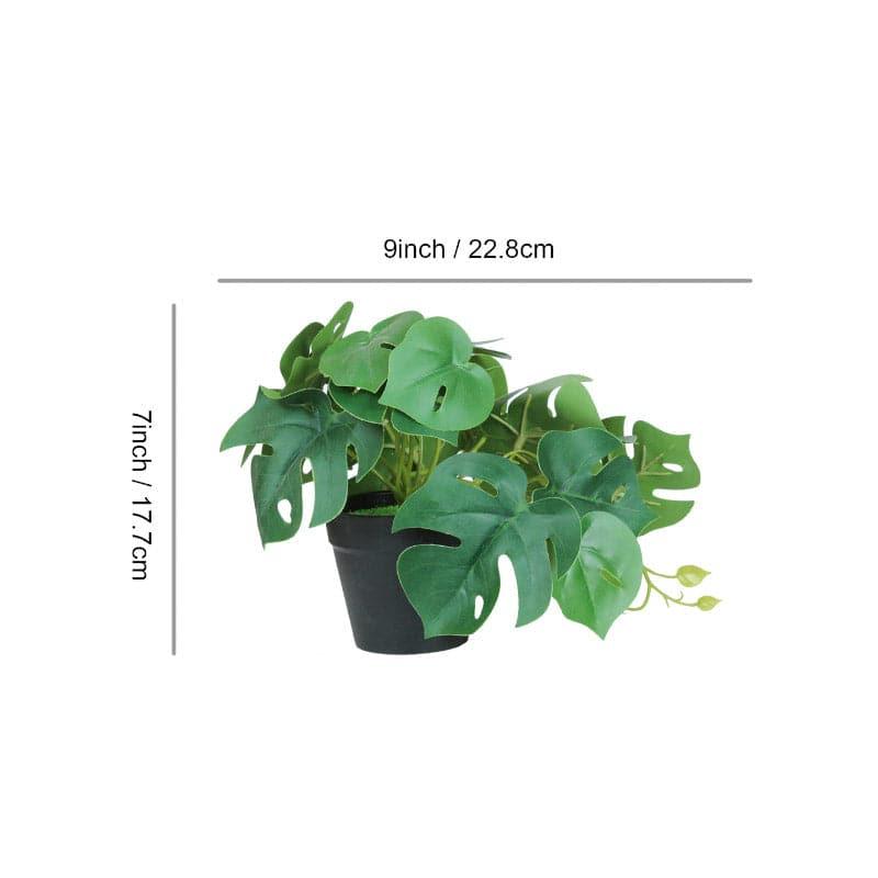 Buy Faux Monstera Plant (22 cms) - Set Of Two Artificial Plants from Vaaree