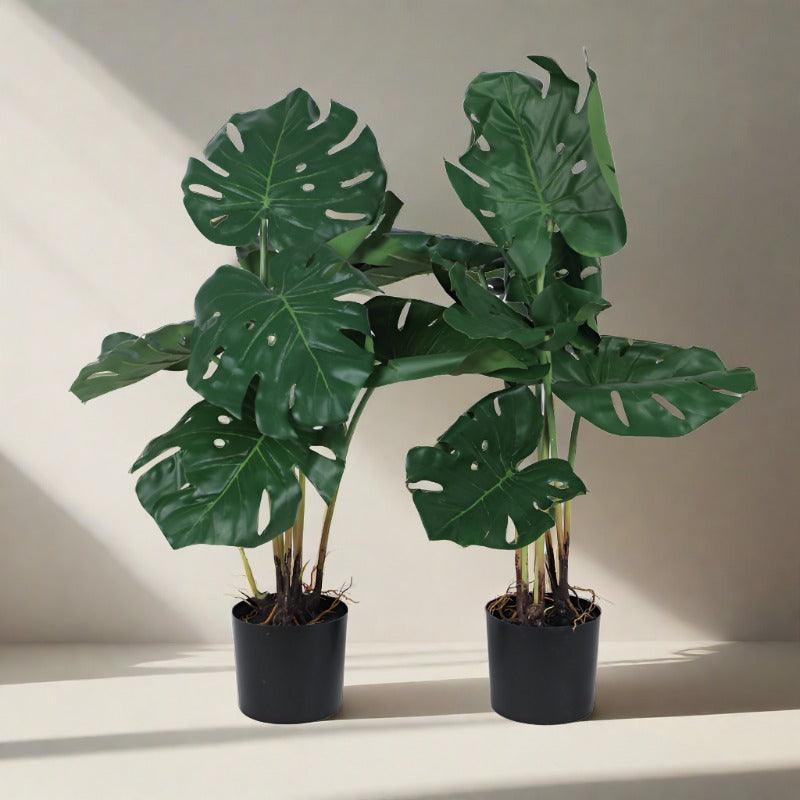 Artificial Plants - Faux Montera Swiss Cheese Plant With Pot (2.46 ft) - Set Of Two