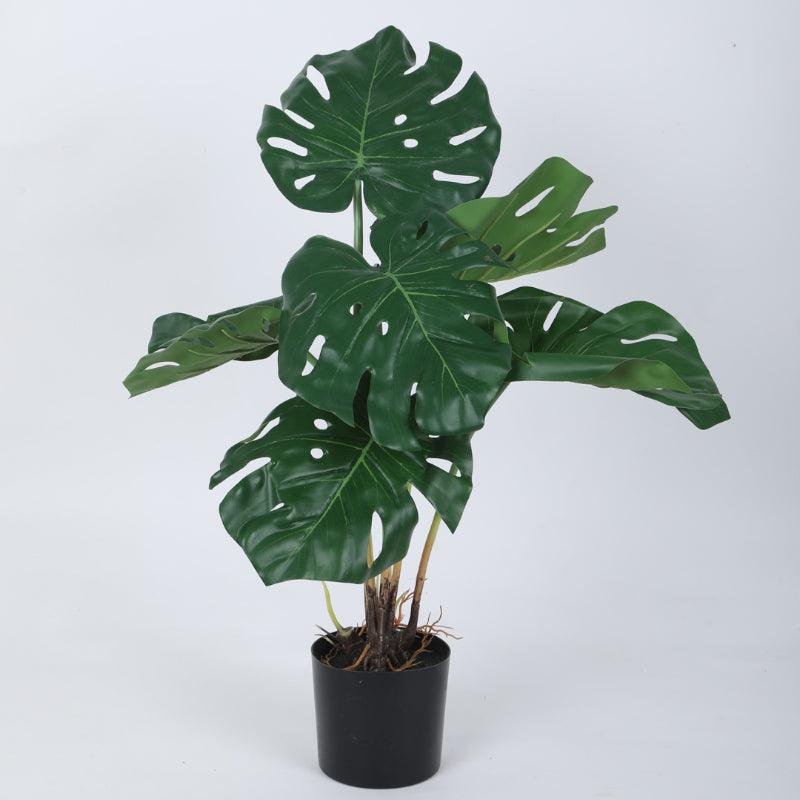 Artificial Plants - Faux Montera Swiss Cheese Plant With Pot (2.46 ft) - Set Of Two