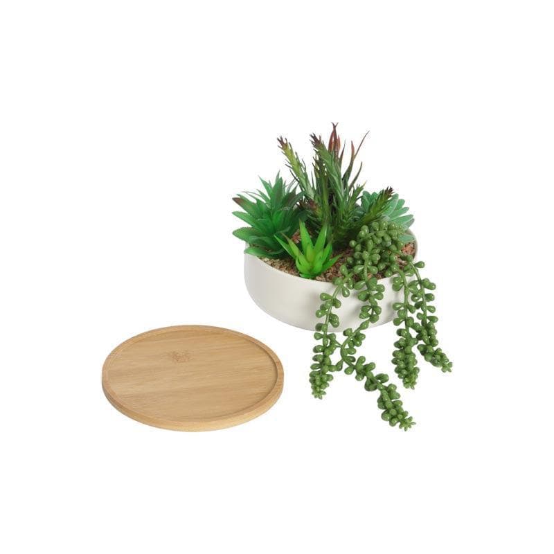 Buy Faux Multi Succulent Set In Round Pot - 15 cms Artificial Plants from Vaaree