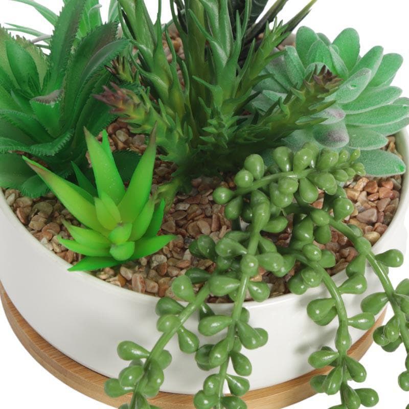 Buy Faux Multi Succulent Set In Round Pot - 15 cms Artificial Plants from Vaaree