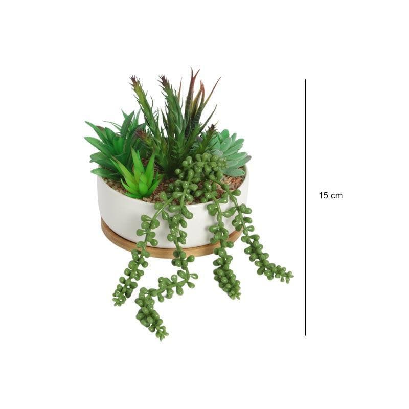 Buy Faux Multi Succulent Set In Round Pot - 15 cms Artificial Plants from Vaaree