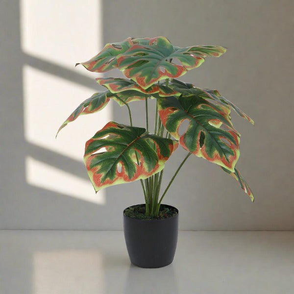 Artificial Plants - Faux Multicolor Monstera Plant With Pot - 55 cms