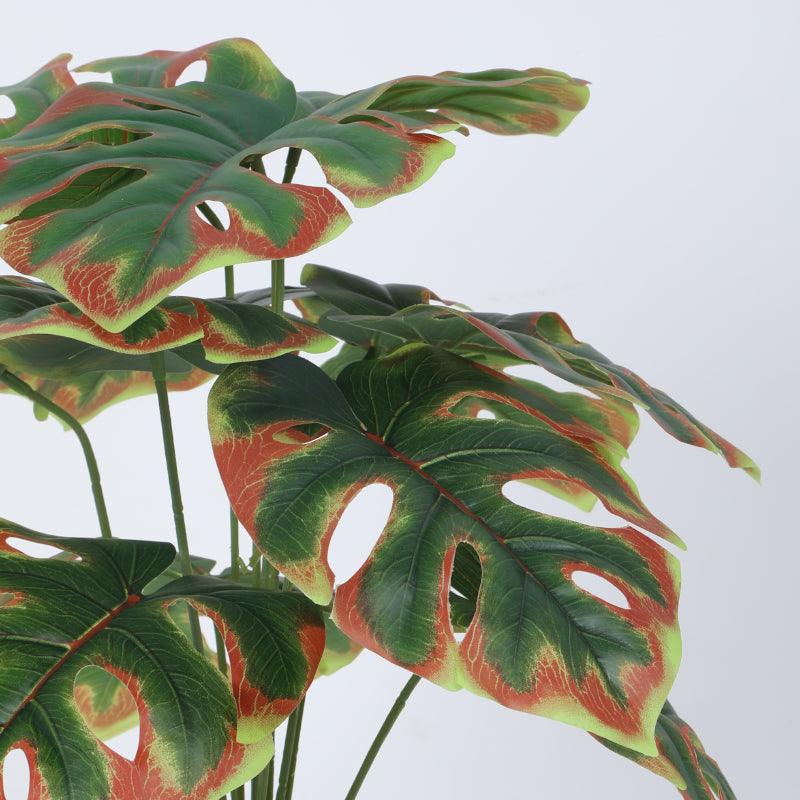 Buy Faux Multicolor Monstera Plant With Pot - 55 cms Artificial Plants from Vaaree