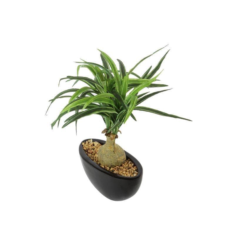 Artificial Plants - Faux Nolina Bonsai In Ceramic Pot - 29 cms